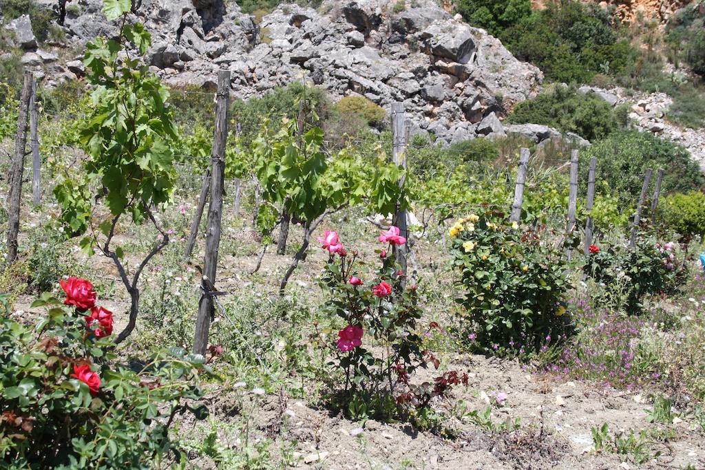 Bed and breakfast Casale Corcella Scopello (Sicily)